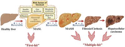 Chinese herbal formula in the treatment of metabolic dysfunction-associated steatotic liver disease: current evidence and practice